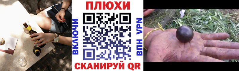 ГАШ Изолятор  Новодвинск 