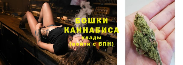 бошки Арсеньев