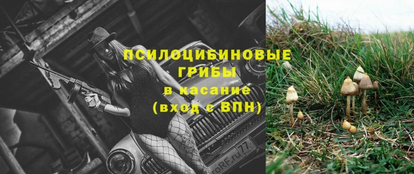 эйфоретик Армянск