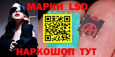 гидра Кандалакша