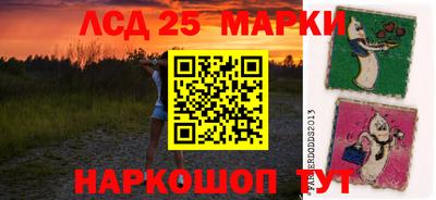 гидра Кандалакша