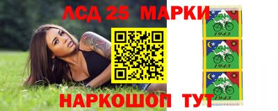 гидра Кандалакша