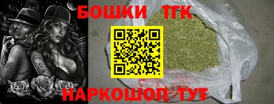 амф Камышлов