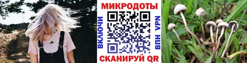 Галлюциногенные грибы мицелий  Новодвинск 