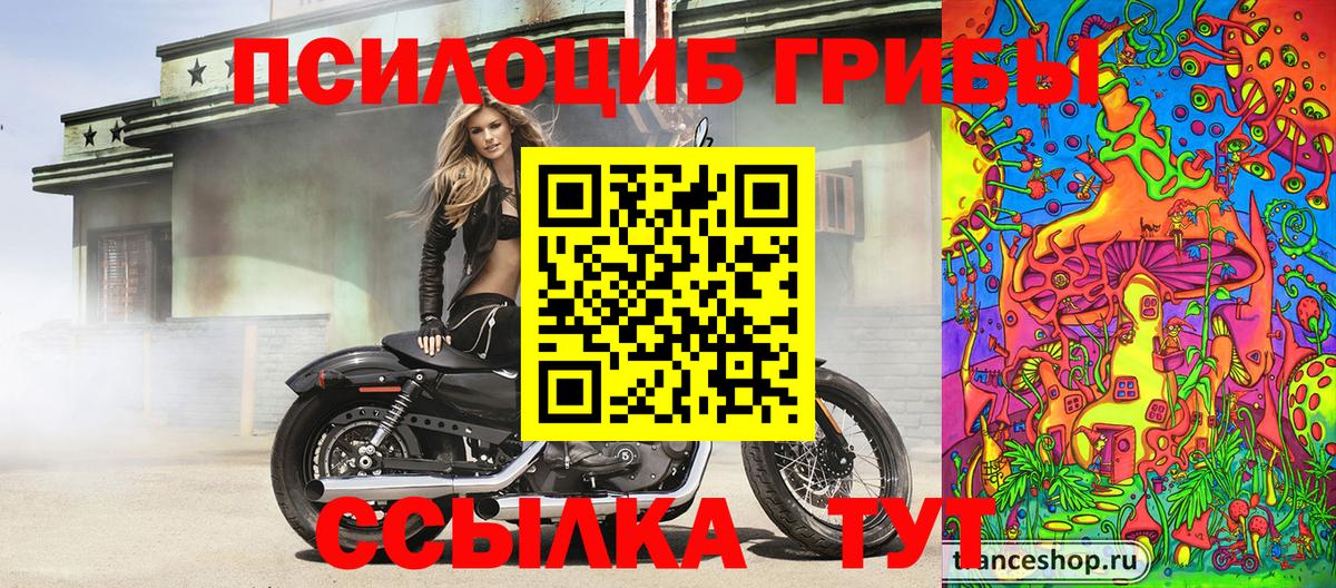 Псилоцибиновые грибы мицелий Новодвинск