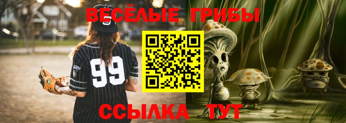 Псилоцибиновые грибы мухоморы  Вход с VPN  Новодвинск 