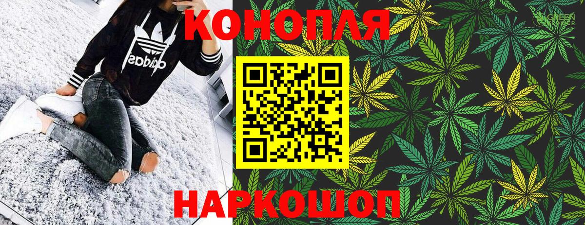 Каннабис сатива Новодвинск